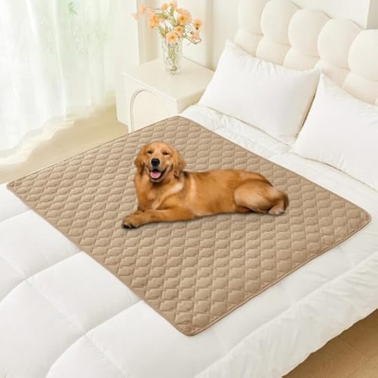 41zwvofyyl. ac us800