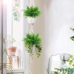 41zxr9u rdl. ac us800