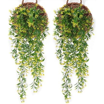 51 cirqaqgl. ac us800