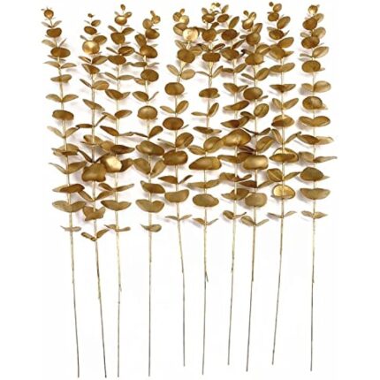 51 z9 eogvl. ac us800