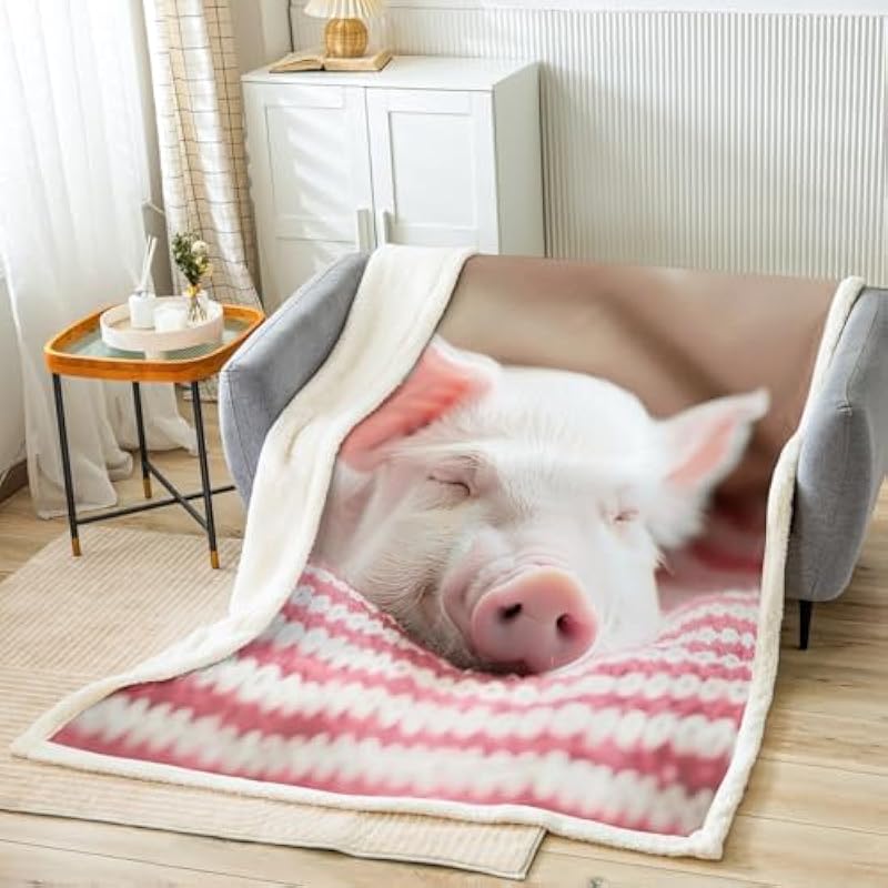 512aeh3osvl. ac us800