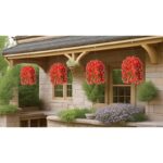 512upbxd0l. ac us800