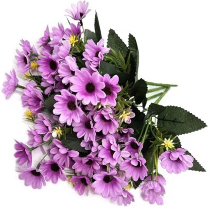 513d3qgkvll. ac us800