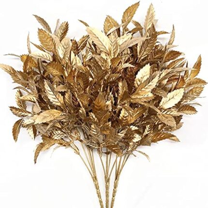 513x9cdfw4l. ac us800