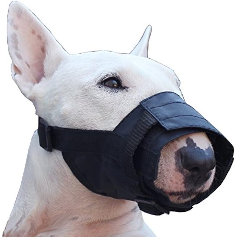 518x2uwmi7l. ac us800