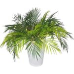 519f9rc gel. ac us800