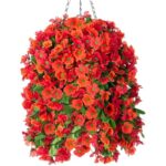 519uzlf4kel. ac us800