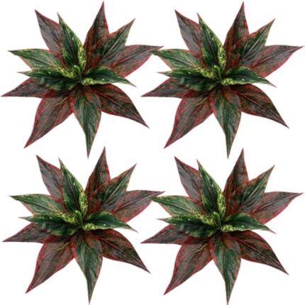 51ch9amjcql. ac us800