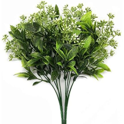 51cl0zvni8l. ac us800