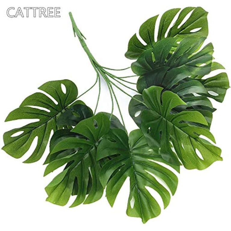 51czehms6l. ac us800