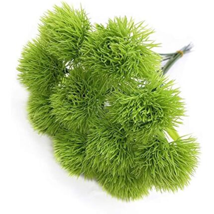 51efjy7da5l. ac us800