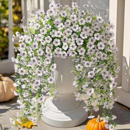 51ebbgkxn5l. ac us800