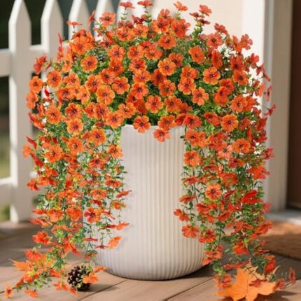 51ed9isvyfl. ac us800