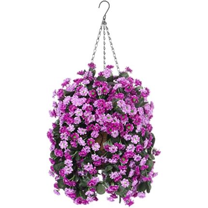 51fyipzk3l. ac us800