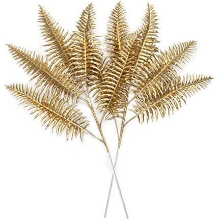 51fi1cgiipl. ac us800