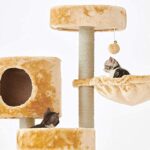 51fx6vvzhwl. ac us800