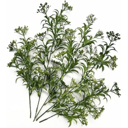 51hv3xx4ul. ac us800