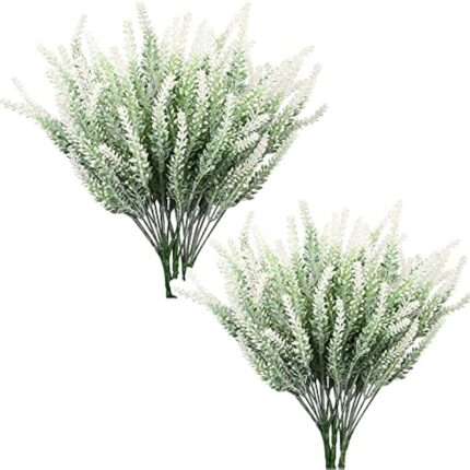 51hoa8sepas. ac us800