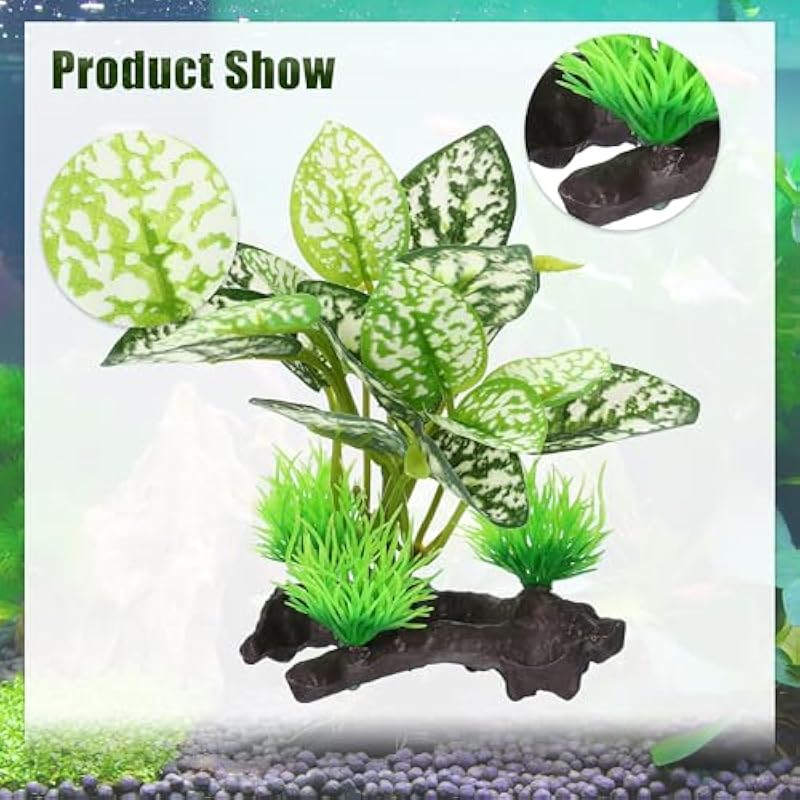 51hu5jzcxhl. ac us800