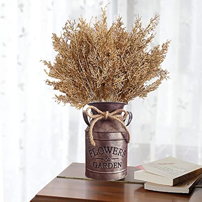 51i1p0nsunl. ac us800