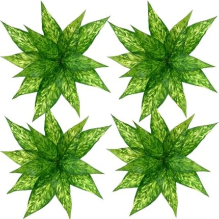 51jnadukunl. ac us800