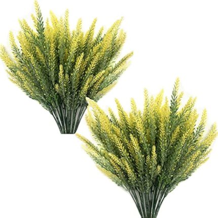 51jtj zscns. ac us800