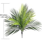 51kibyypbsl. ac us800