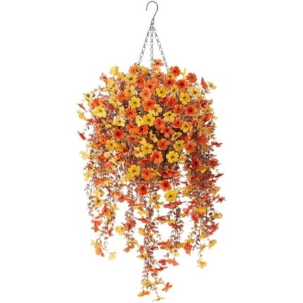 51lolml9gol. ac us800