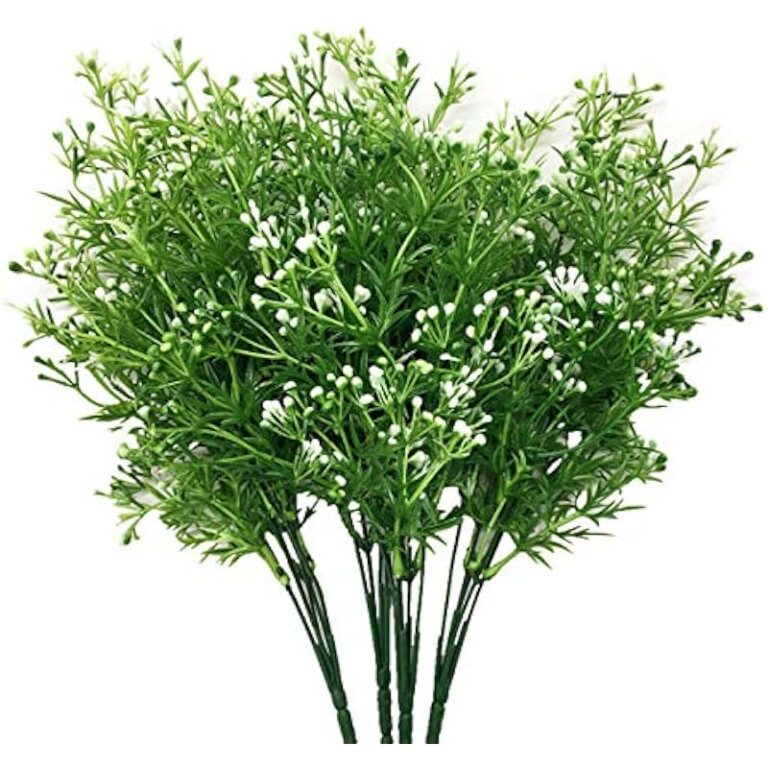 51nkrzywcal. ac us800