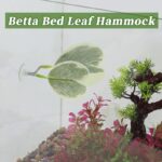 51okr6radal. ac us800