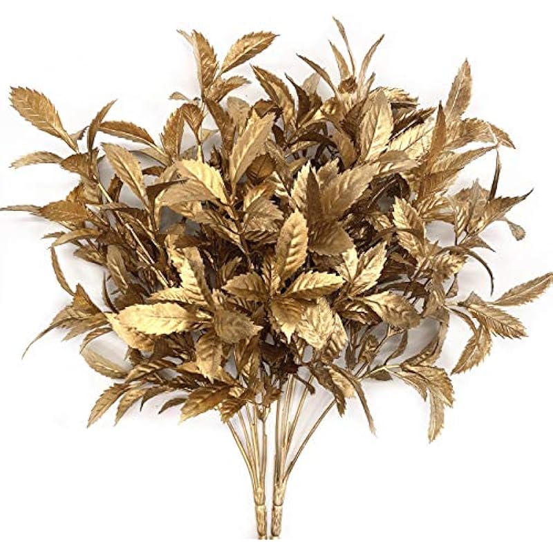 51oyfclexl. ac us800