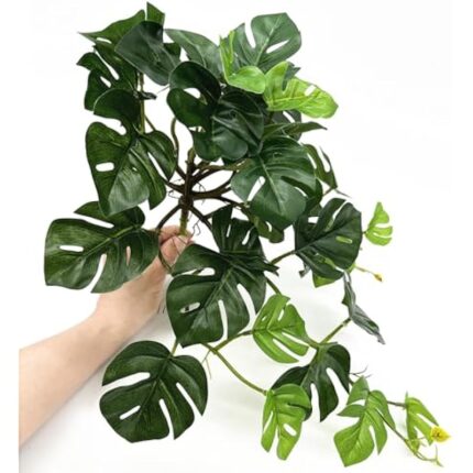 51ojoxrtwxl. ac us800 