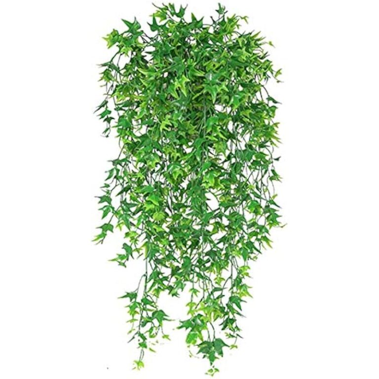 51ojruhbd1l. ac us800