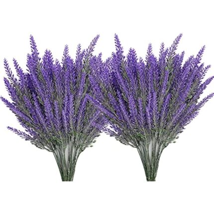 51ovtueumds. ac us800