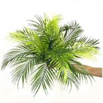 51p2mfnwqjl. ac us800