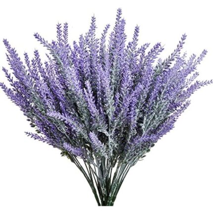 51pbreguy1l. ac us800