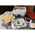 51ponliqxl. ac us800