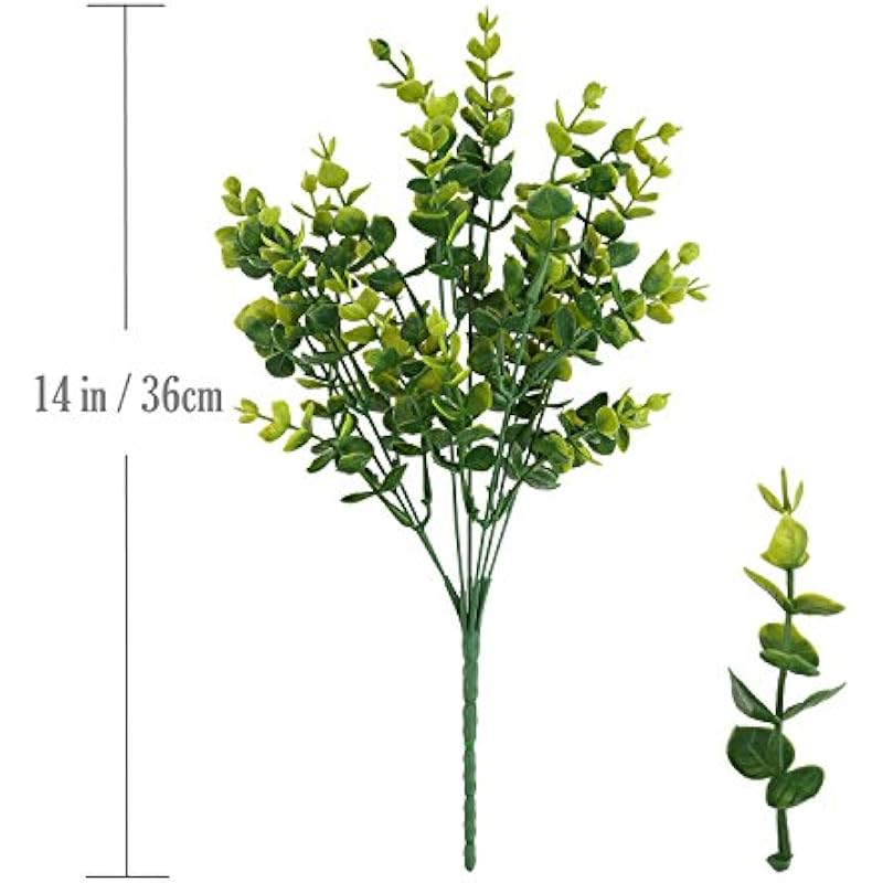 51rsfldp8sl. ac us800