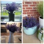 51scl6tztxl. ac us800