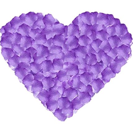 51t2t wvial. ac us800