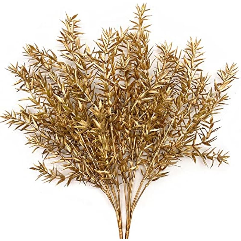 51tkxvq1hrl. ac us800