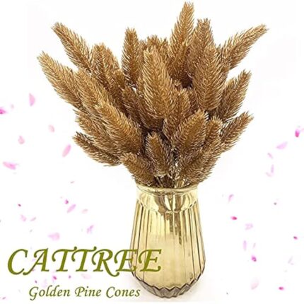 51uvtzjdwcs. ac us800