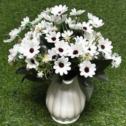 51vgsyfbol. ac us800