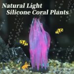 51vkxucjfal. ac us800