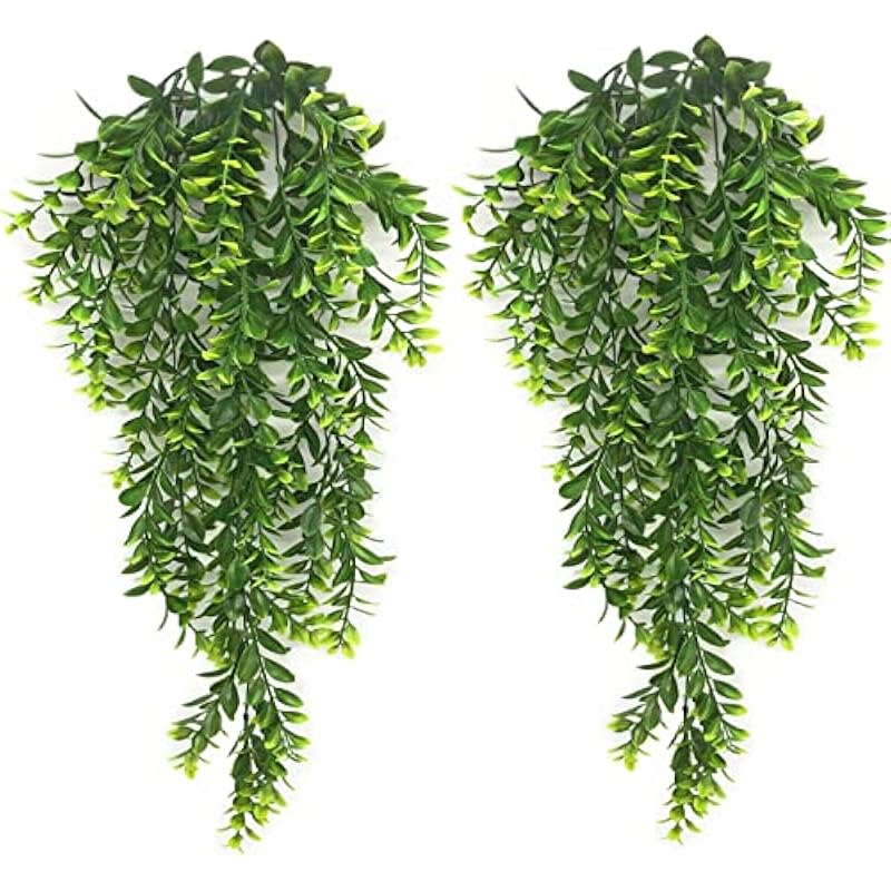 51zcfqbddwl. ac us800