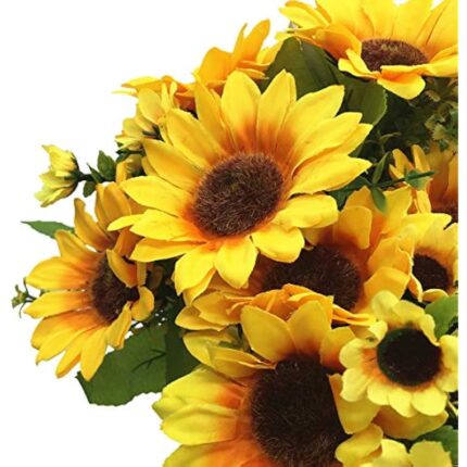 51athdzcdl. ac us800