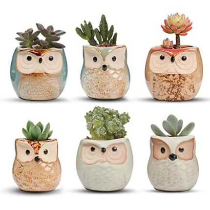 51azv2m rl. ac us800