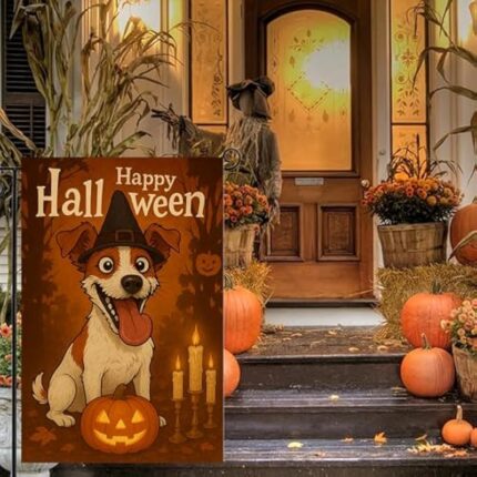 51bf5zc1vql. ac us800