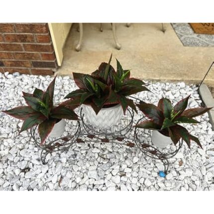 51c3jlztt l. ac us800