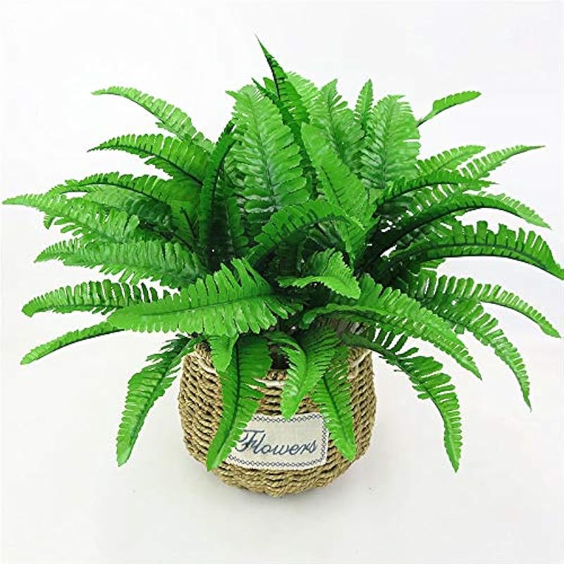 51cts86ng2l. ac us800